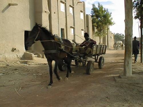 Horse carts and donkey carts carry goods and people from the Bani River into the center of village where they will set up for the market in D Jenne.